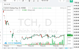 Vì sao cổ phiếu TCH hút mạnh dòng tiền?